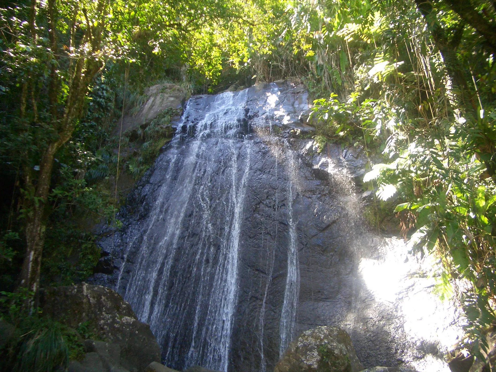 El Yunque, Puerto Rico